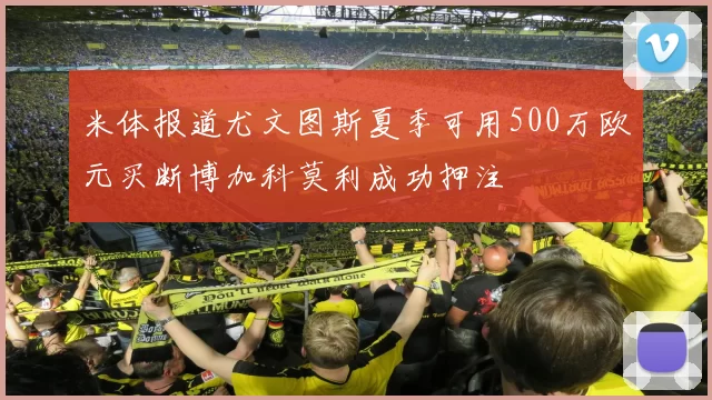 米体报道尤文图斯夏季可用500万欧元买断博加科莫利成功押注