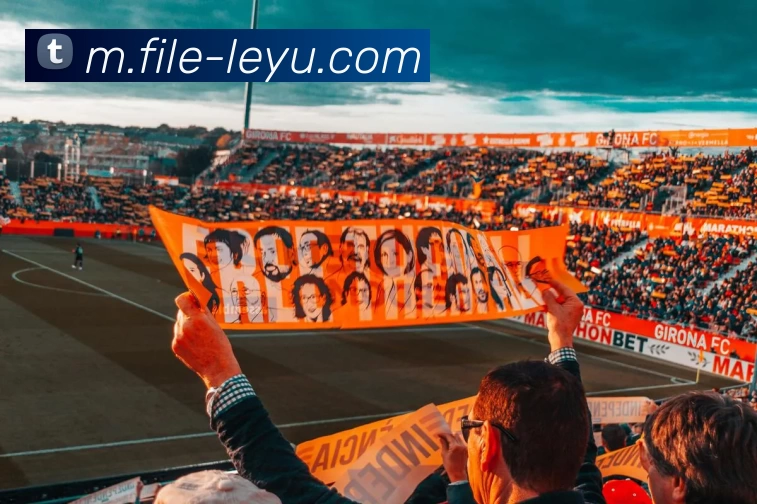 多媒体互动体验